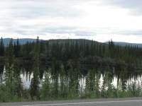 Teslin Wildlife Refuge